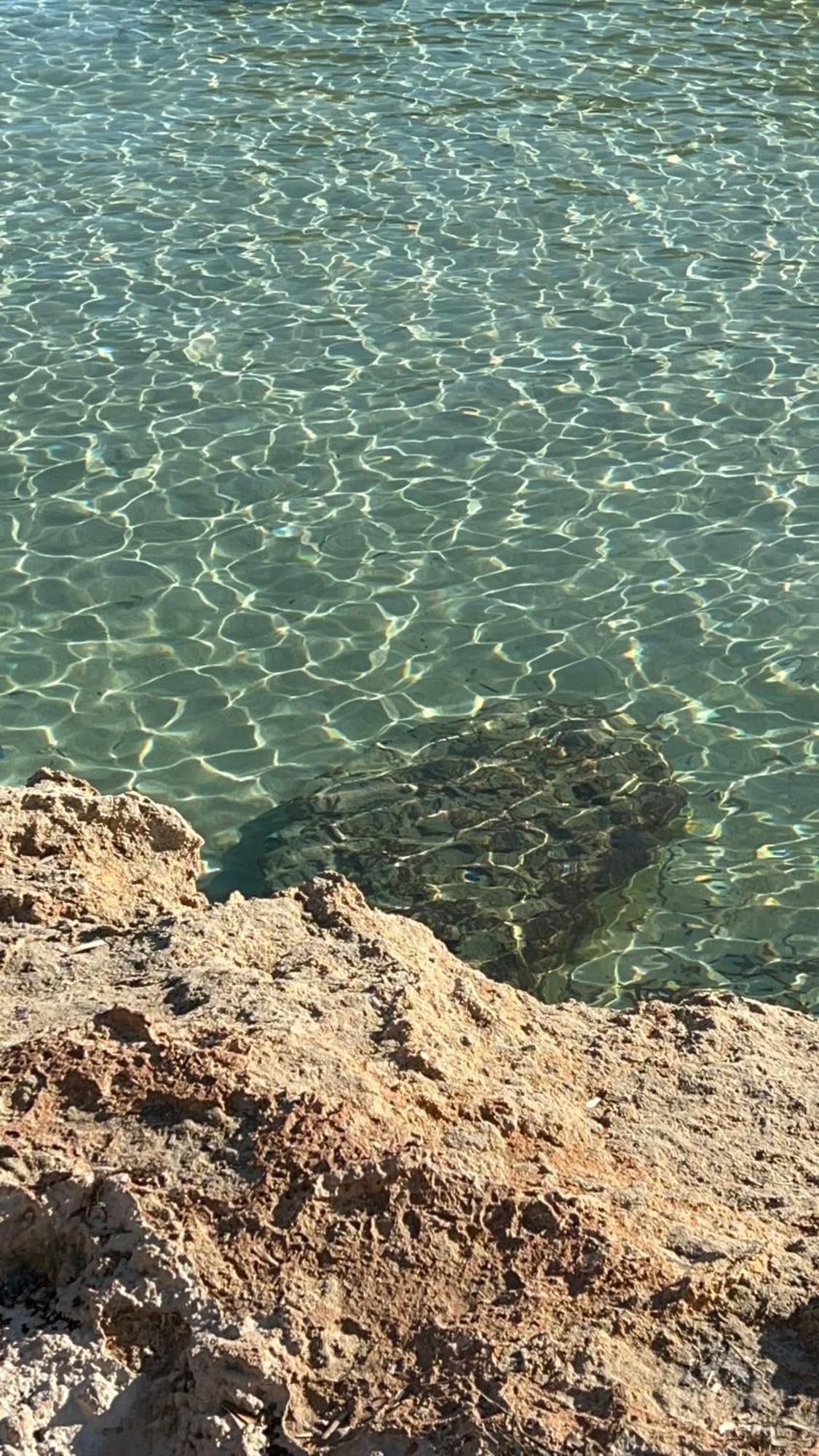 Capitolo Villa Monopoli Eksteriør billede